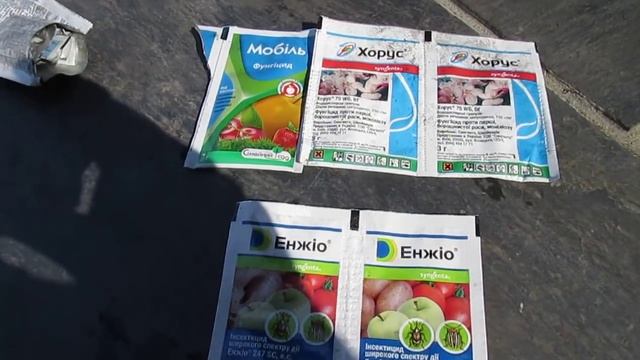 ЧЕМ ОПРЫСКИВАТЬ ДЕРЕВЬЯ до и после цветения