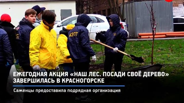 КРТВ. Ежегодная акция «Наш лес. Посади своё дерево» завершилась в Красногорске смотреть онлайн