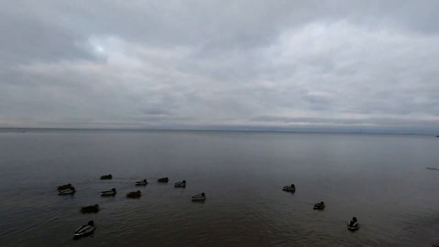 Тихий осенний день в Александрии смотреть онлайн