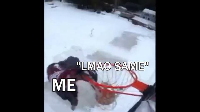 LMAO SAME смотреть онлайн