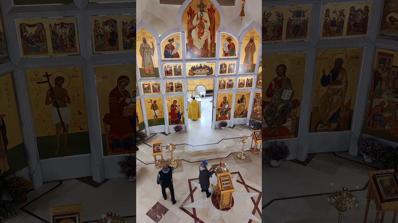 24.11.2023 Фрагмент трансляции Божественной Литургии. смотреть онлайн