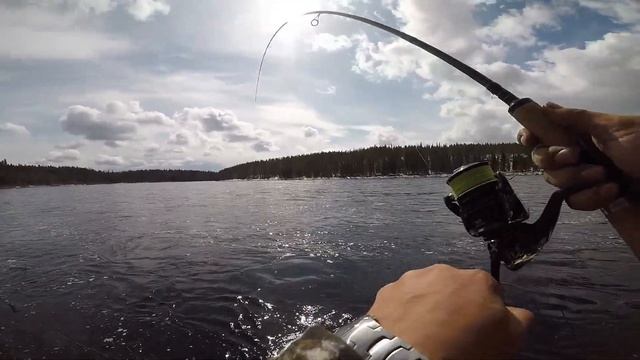 Рыбалка на Кольском полуострове. Атлантический лосось (сёмга). смотреть онлайн