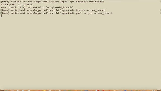 Git - How rename branch (Cách đổi tên branch) смотреть онлайн