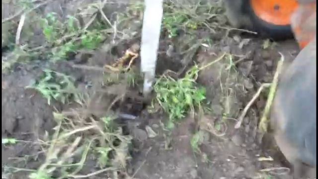 МОТОБЛОК з вилами смотреть онлайн