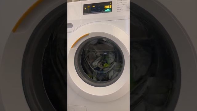 Miele w1 selection kurz 20 part 1 смотреть онлайн