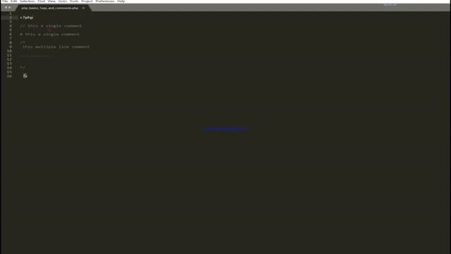 php basic tags and comments смотреть онлайн
