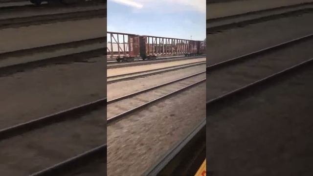 Riding the northstar to the twins game and passing storage shed of the 261 смотреть онлайн