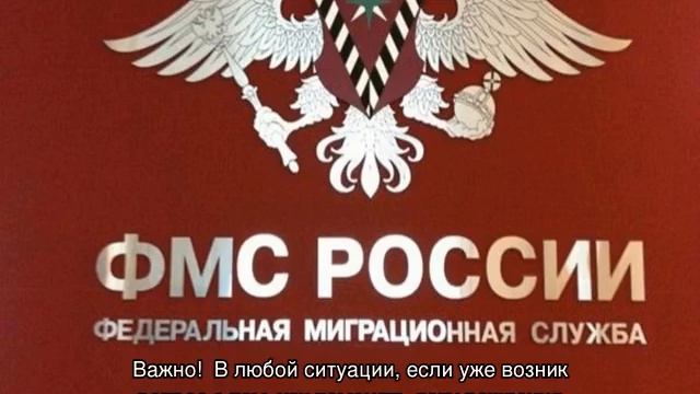 Документы РФ: паспорта и права