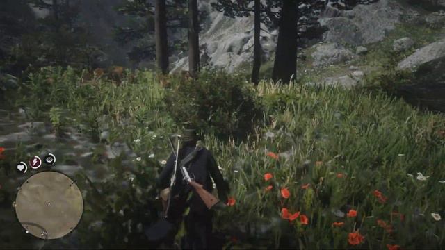 Read Dead Redemtion 2 GTX 1050 60fps Охота на легендарного гризли смотреть онлайн