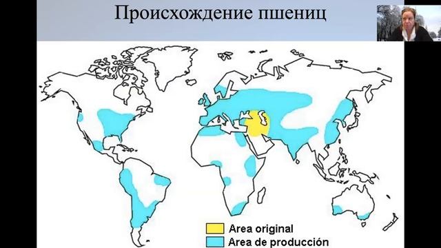 ЛЕКЦИЯ 5 ЗЛАКИ смотреть онлайн