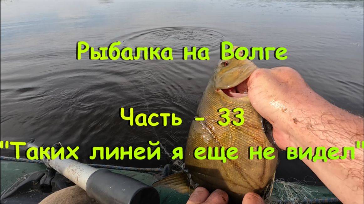 Рыбалка на Волге. Часть - 33. "Таких линей я еще не видел". смотреть онлайн