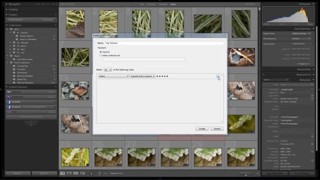 Quick Guide to Using Lightroom 4 Smart Collections смотреть онлайн