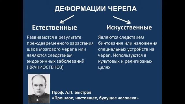 Развитие и изменчивость черепа. Потоки В, Д. 11.10.21 - 14:15 смотреть онлайн