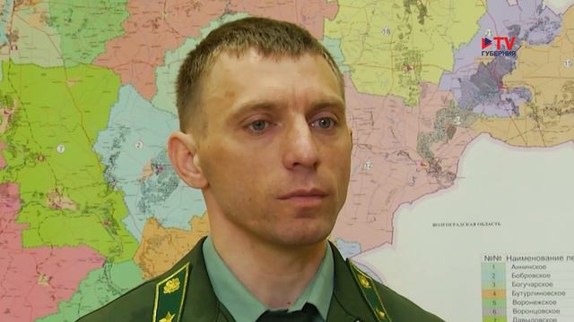 Воронежцы обеспокоены засечками от топора на живых деревьях в Северном лесу смотреть онлайн