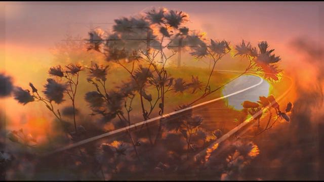 ОСЕННИЕ ЗАКАТЫ... смотреть онлайн