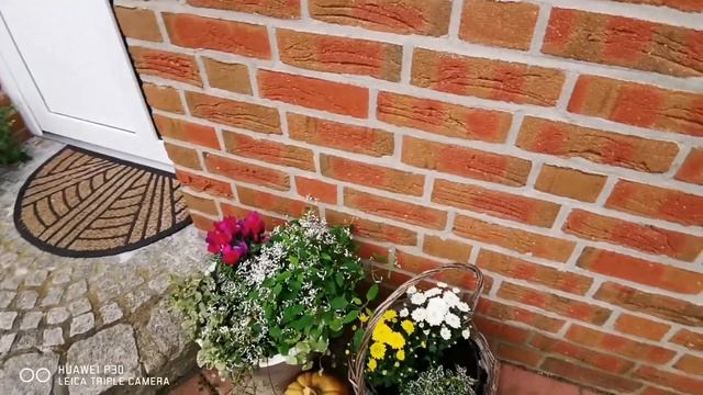 Осенние работы в палисаднике? смотреть онлайн