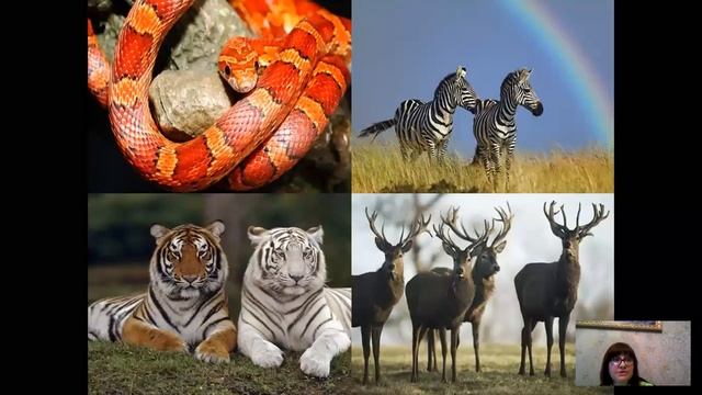 Приспособленность организмов к условиям внешней среды как результат естественного отбора смотреть онлайн