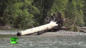 Агафья Лыкова часть 1