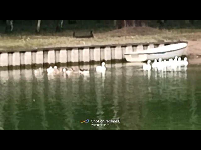 23 августа 2022 г. смотреть онлайн