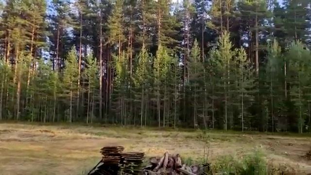 Участок в лесу для вашего дома смотреть онлайн