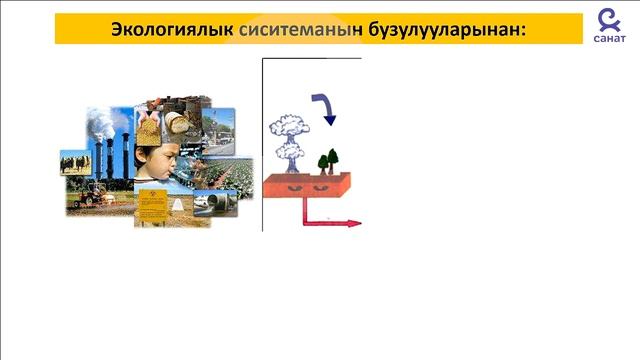 Биология 11 класс 29 сабак смотреть онлайн