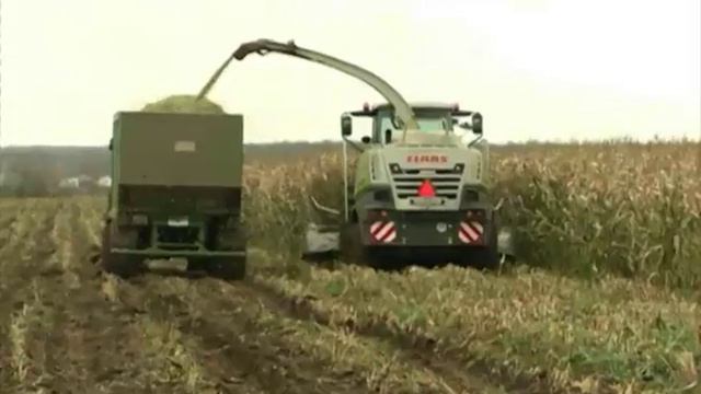 В Ярославской области завершается уборка урожая. С какими показателями финиширует сезон на селе? смотреть онлайн