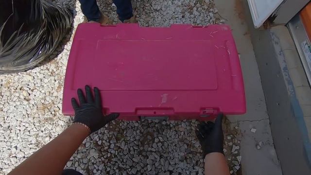 АУКЦИОН КОНТЕЙНЕРОВ, Интересные Находки В Брошенном Складе! Купили Склад Беженца! смотреть онлайн