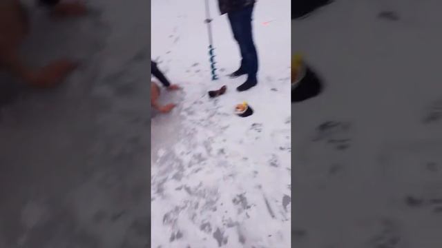 Рыбалка 11.01.18 Ярцево смотреть онлайн