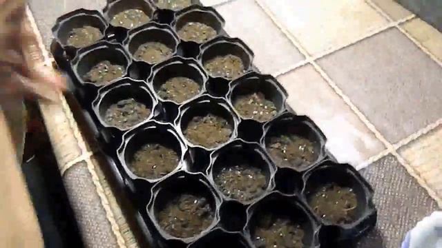 Гараж и Мастерская