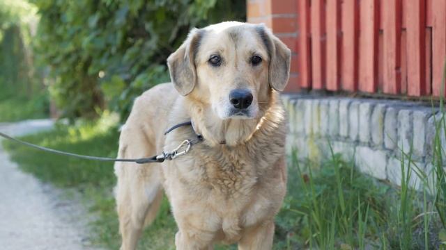 В гостях у наших клиентов. Отзывы о Ионизаторе воды AkvaLIFE. смотреть онлайн