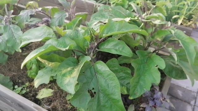 Умные Стройки