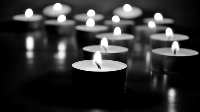 Умер еще один хатико смотреть онлайн