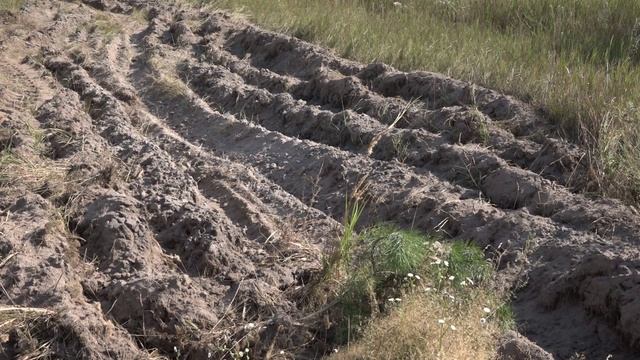 Предупрежден, значит вооружен