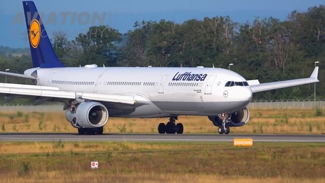 3 HRs Watching Airplanes, Aircraft Identification | Plane Spotting Frankfurt Airport [FRA/EDDF]