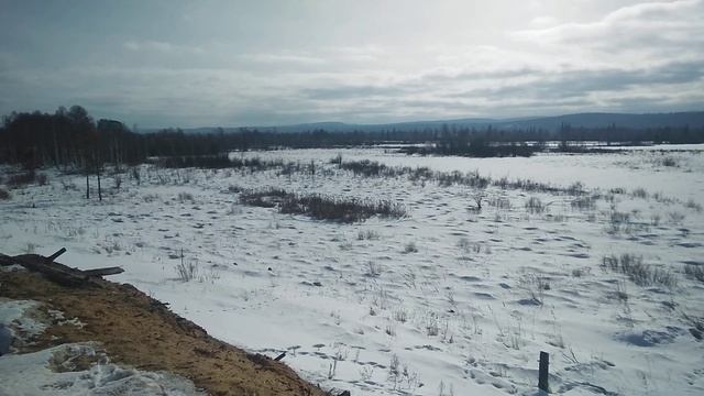 ЛПХ с нуля. смотреть онлайн