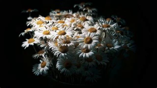 Мистериальность по понятиям смотреть онлайн