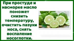 ЧТО ТАКОЕ БЕРГАМОТ?