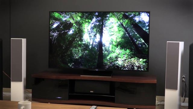 Sony Z Series XBR-65Z9D LED TV - Review