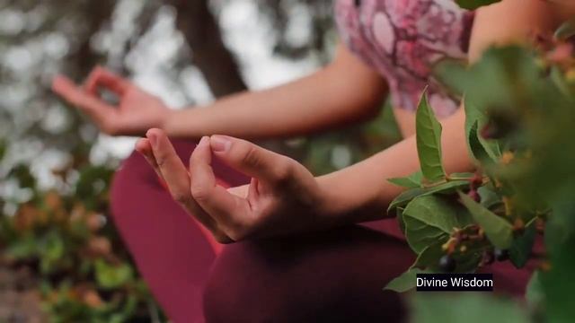 Hand Mudras for Hair Growth @DivineWisdom смотреть онлайн