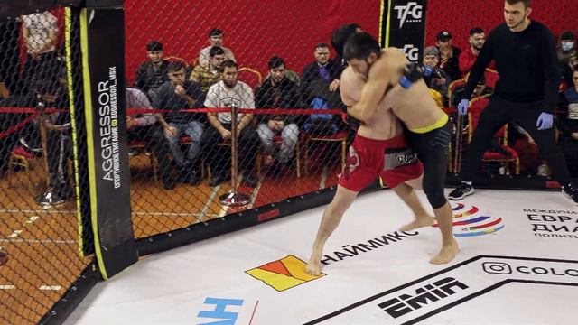 Магомед Зайналов (Россия) vs. Александр Балаур (Молдавия) | 77 кг смотреть онлайн