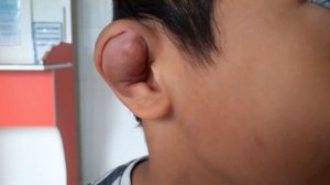 Сломанное ухо Марселя  и визит к хирургу. Май 2022 г.