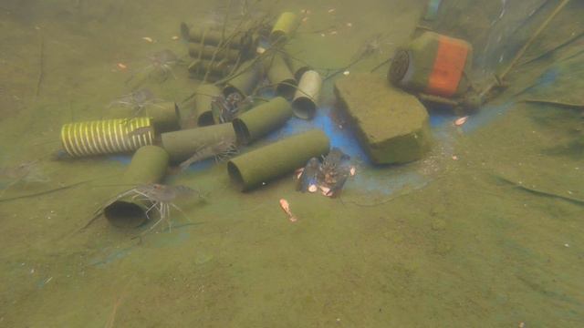 Каннибалы в озере смотреть онлайн