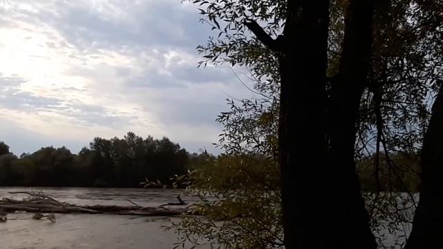 Кубань и урбан смотреть онлайн