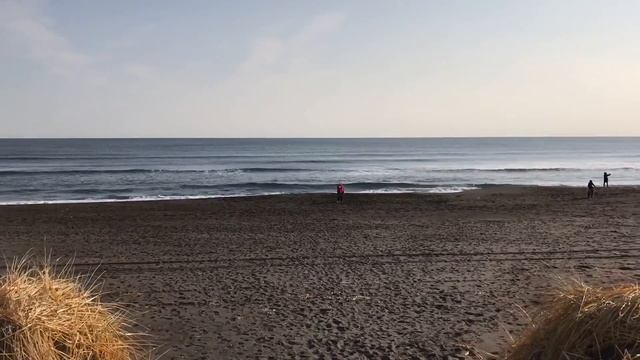 Приезжайте на Камчатку! Петропавловск-Камчатский. Халактырский пляж. Тихий океан. смотреть онлайн