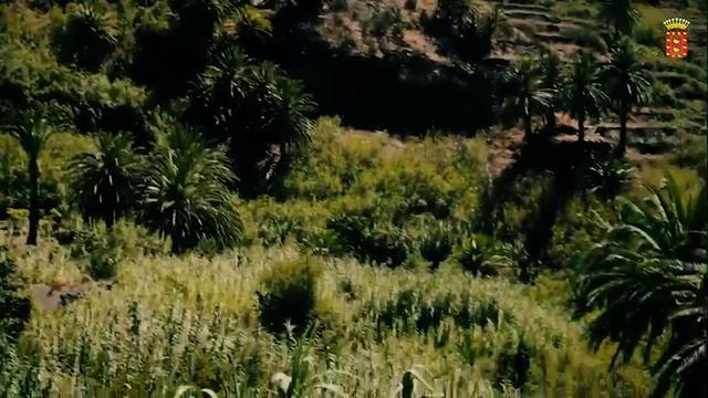 Silbo Gomero y Valle Gran Rey. Historia de La Gomera смотреть онлайн