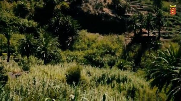 Silbo Gomero y Valle Gran Rey. Historia de La Gomera