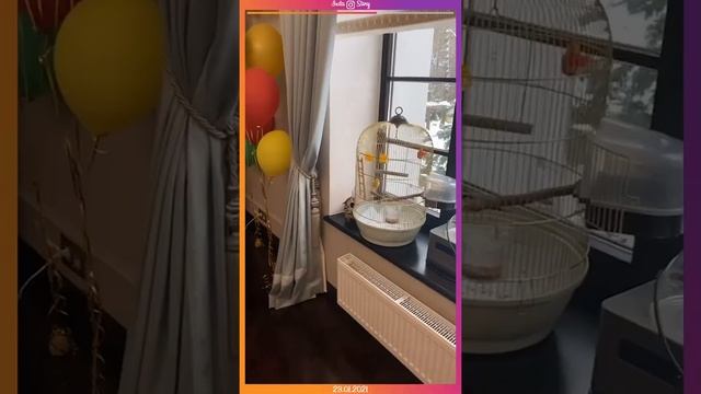 Insta Story | Юлия Барановская (@baranovskaya_tv) Инстаграм Сторис | 23.01.2020 смотреть онлайн