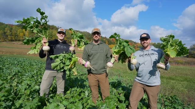 World Class Brassica Plot Designs with Domain Outdoor смотреть онлайн