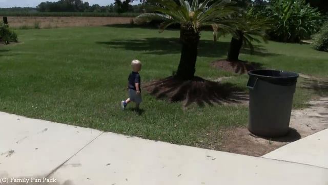 Alligator Alley Up Close Gator Experience смотреть онлайн