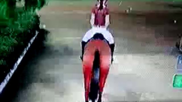 My horse and me 2 wii смотреть онлайн